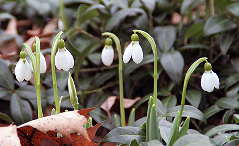 16_hp_Feb21_490x300_r