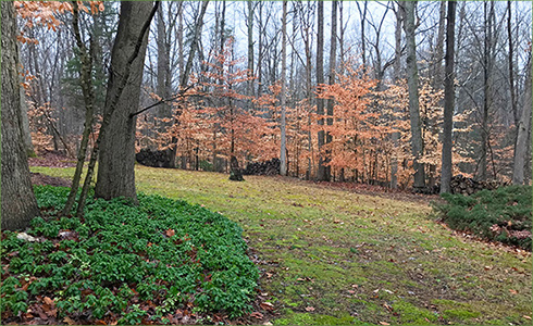 1_hp_Jan21_490x300_i