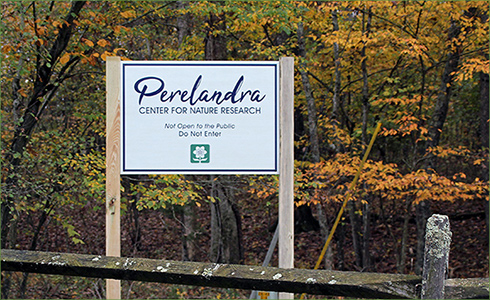 1_hp_Nov20_490x300_i