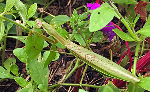 2_hp_Nov20_490x300_d