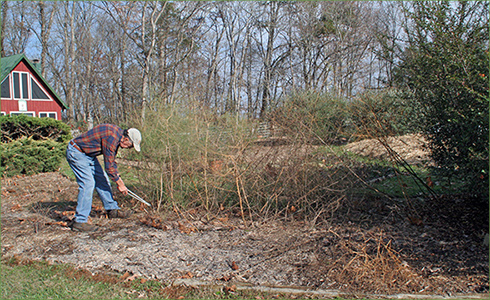 3_hp_Nov20_490x300_n