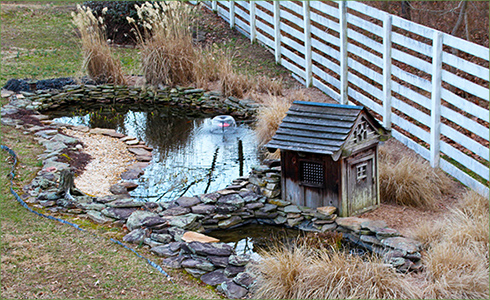 4_hp_Feb21_490x300_a