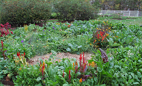 4_hp_Nov20_490x300_h