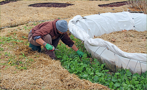 5_hp_Feb21_490x300_l