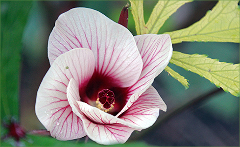 5_hp_Nov20_490x300_g