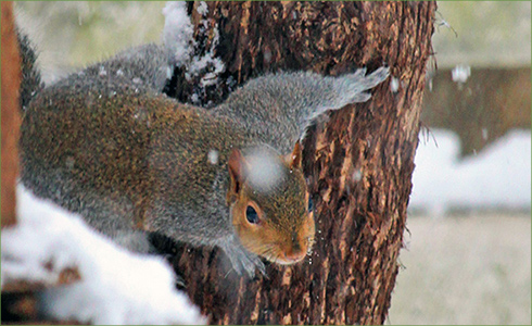 6_hp_Jan21_490x300_b