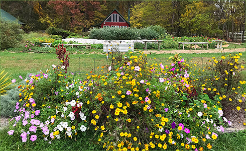 7_hp_Nov20_490x300_f