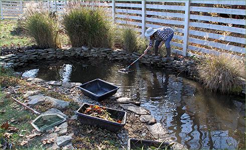 8_hp_Nov20_490x300_p