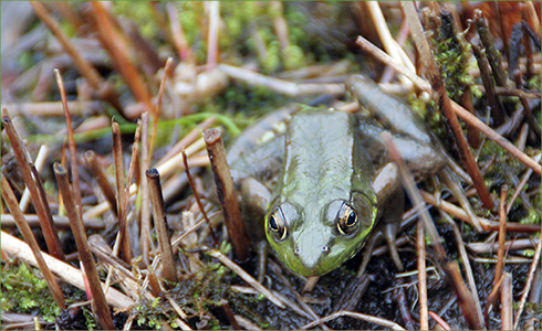 9_hp_Feb21_490x300_j