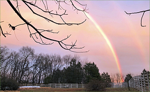 9_hp_Jan21_490x300_a