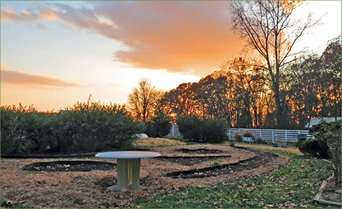 9_hp_Nov20_490x300_m