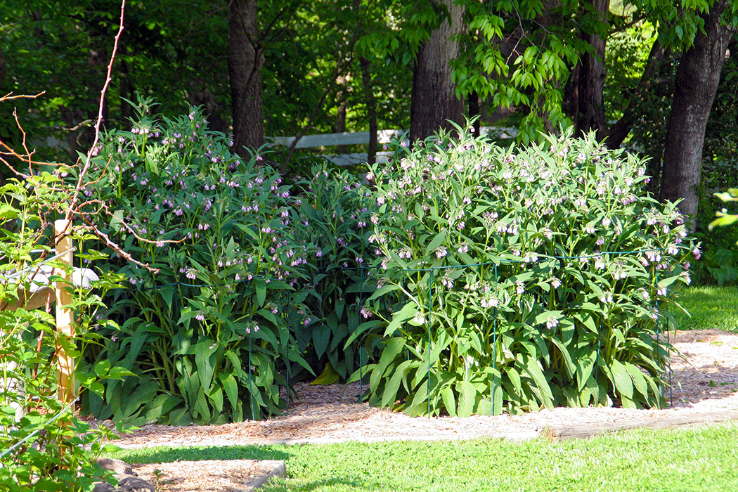 gallery_sum22_d_1050w