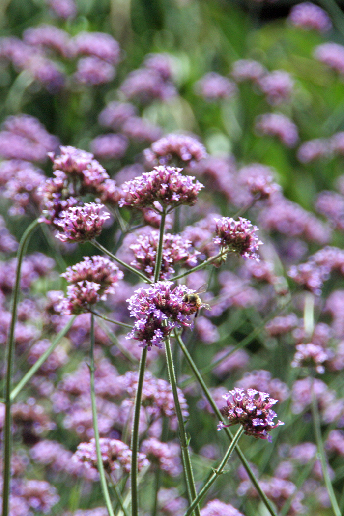 gallery_sum22_g_1050h