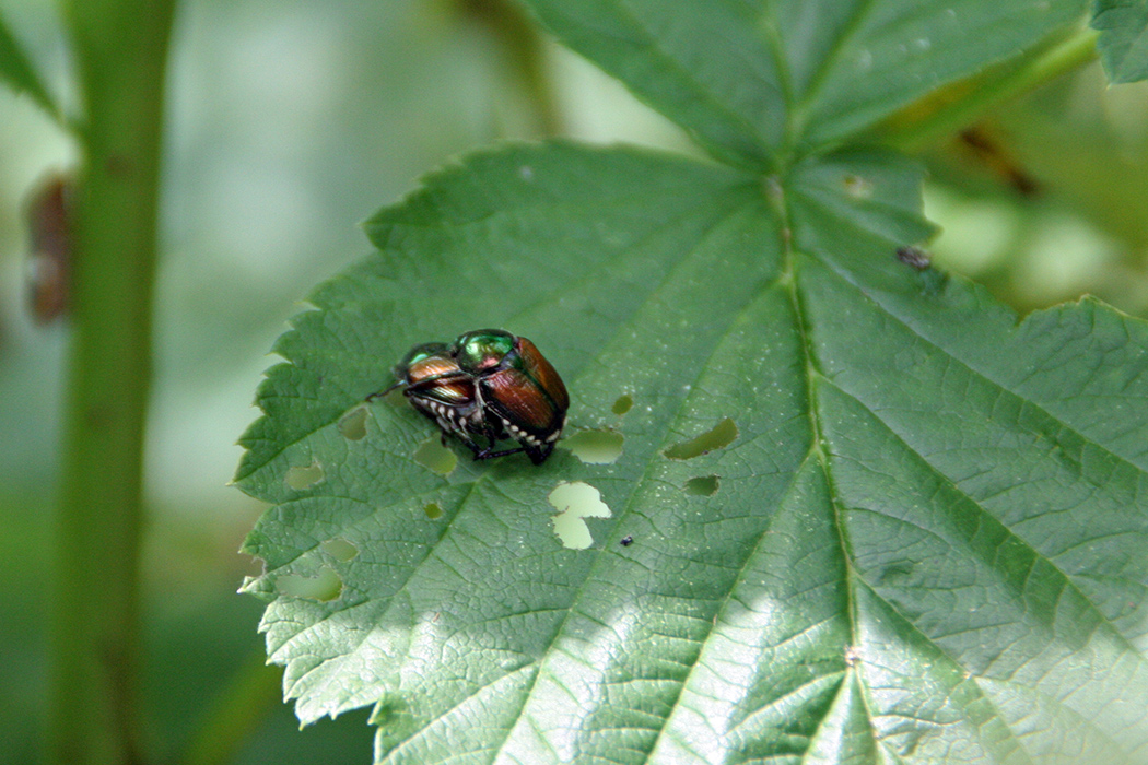 gallery_sum22_j_1050w