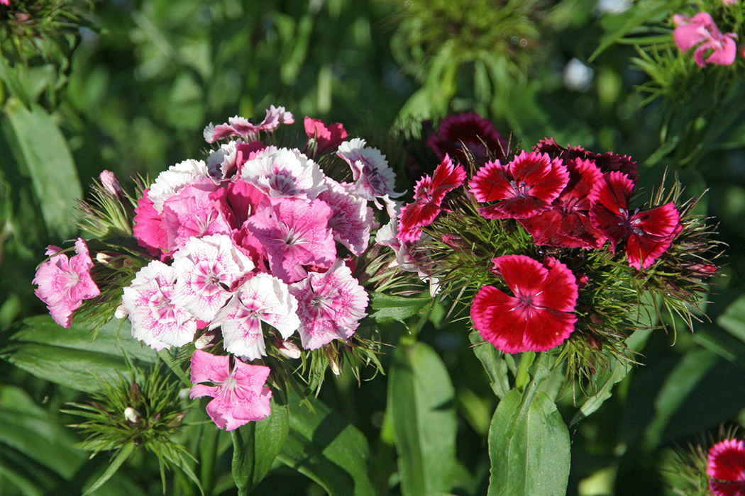 gallery_sum22_k_1050w