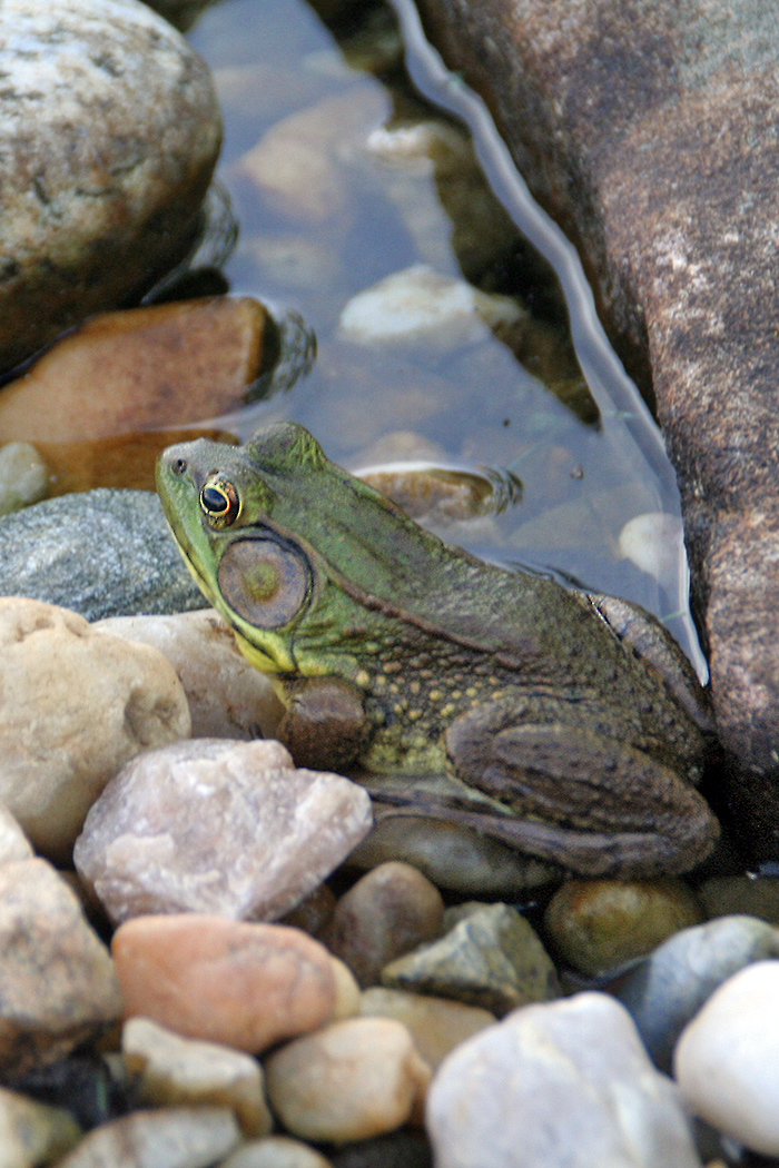 gallery_sum22_n_1050h