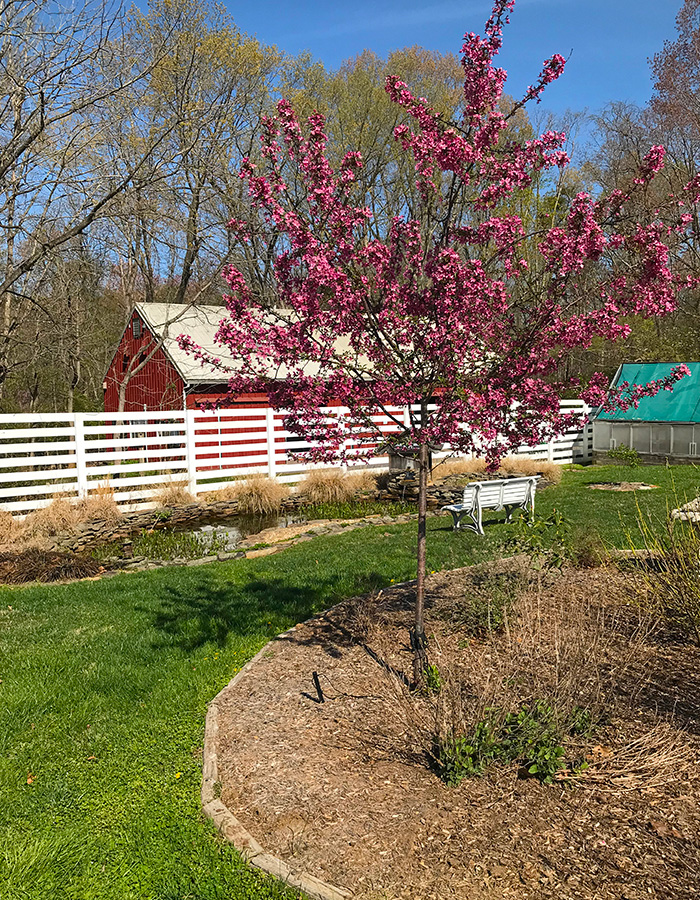 garden_Apr23_700x900_2