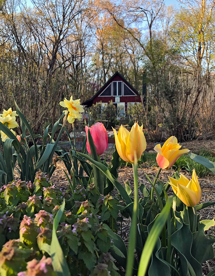 garden_Apr23_700x900_7