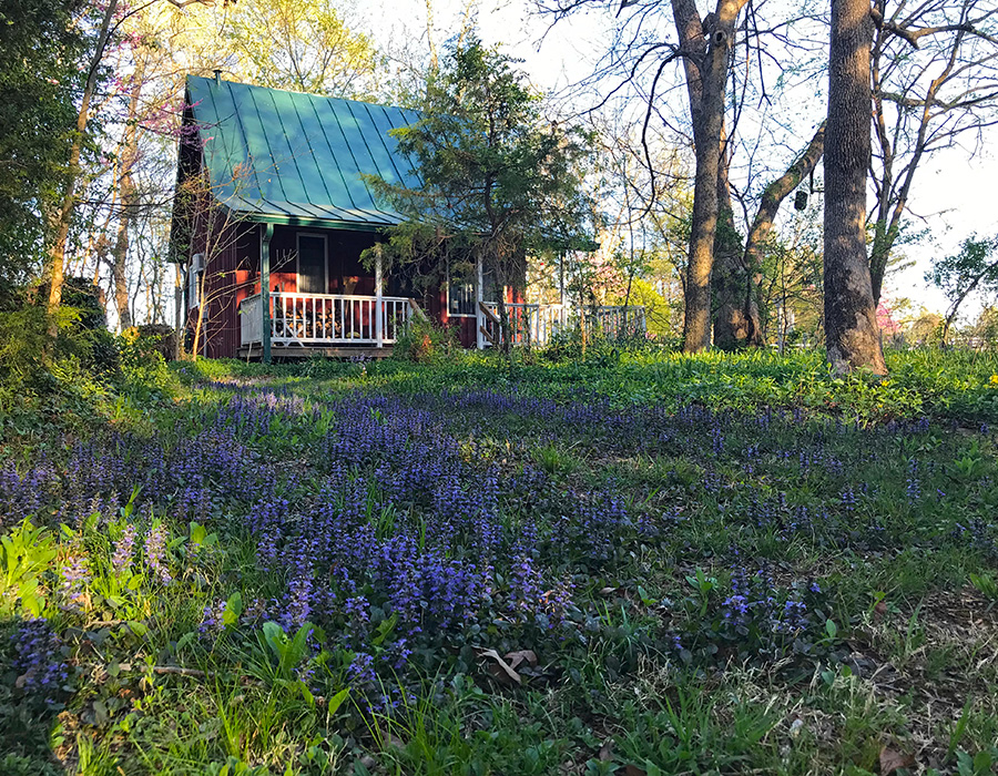 garden_Apr23_900x700_d