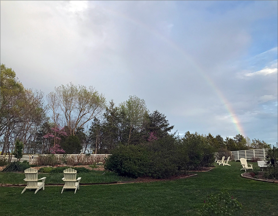 garden_Apr23_900x700_g