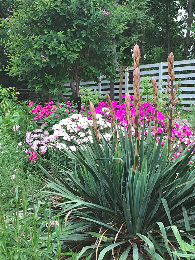 Garden_May23_7_675x900