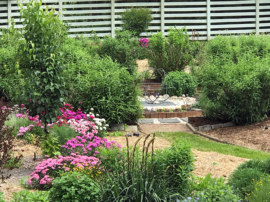 Garden_May23_d_900x675