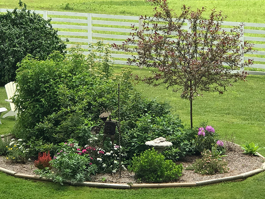 Garden_May23_e_900x675