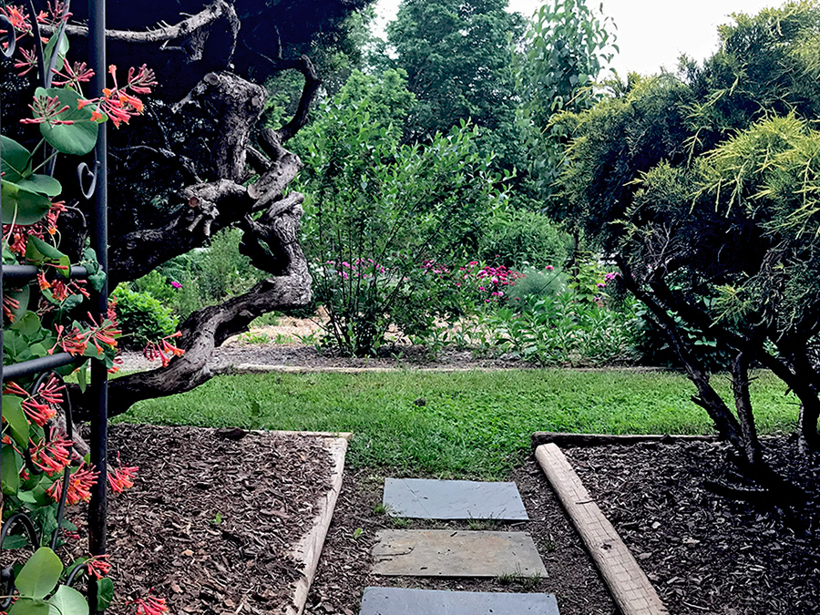 Garden_May23_h_900x675