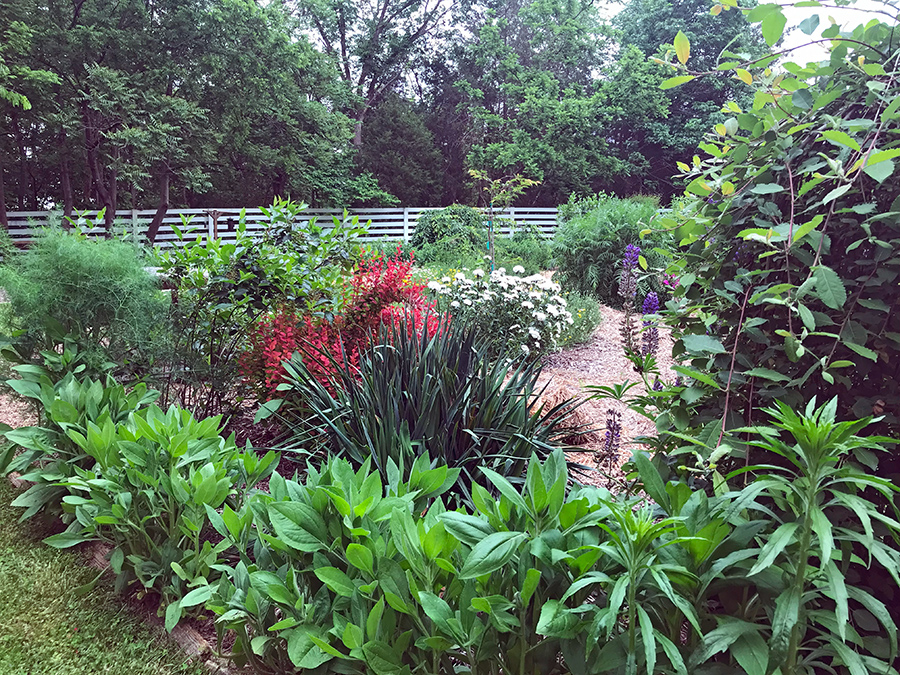 Garden_May23_o_900x675