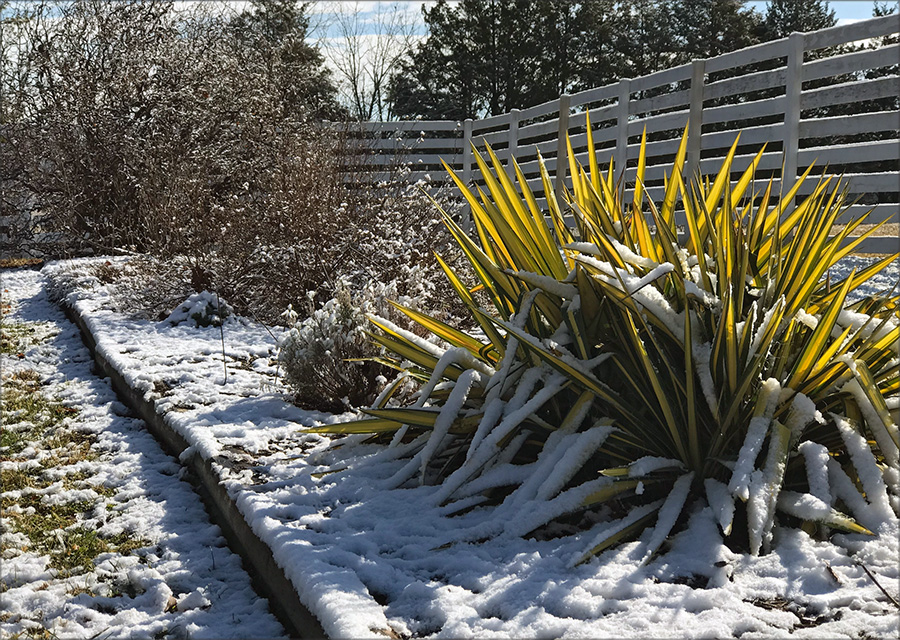 garden_Feb22_640x900_x