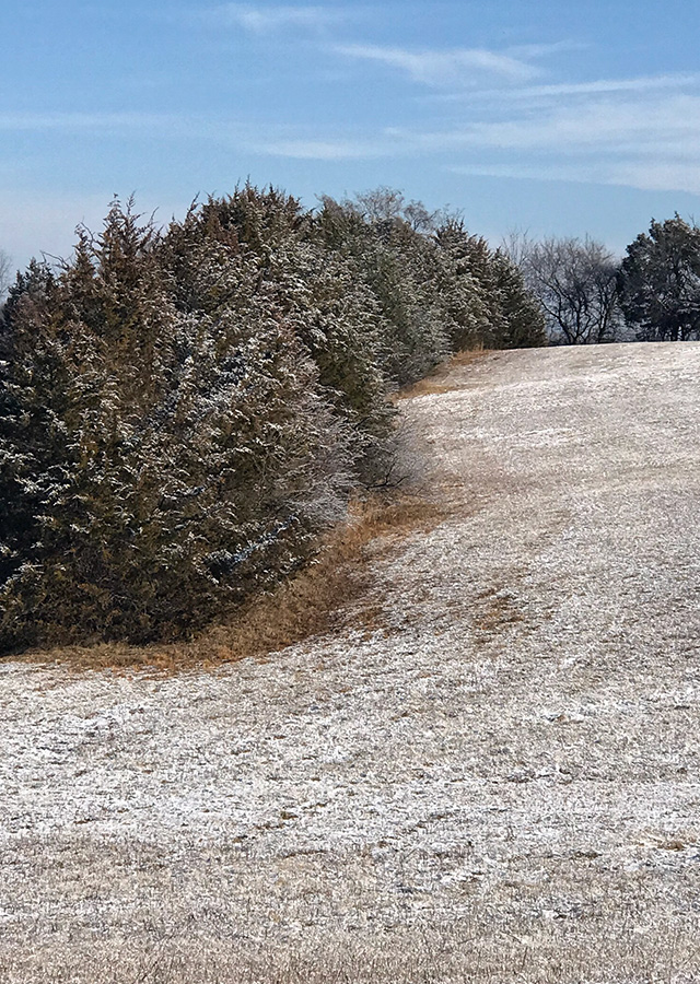 garden_Feb22_900x640_b