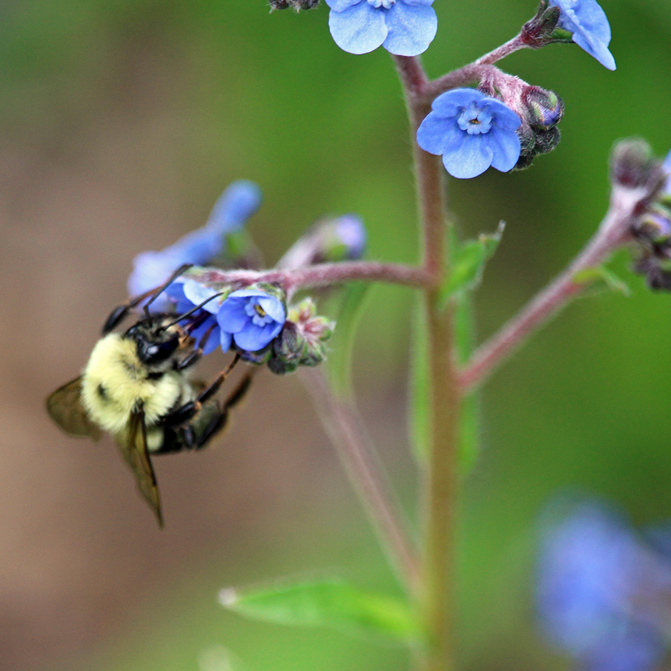 garden-summer-f6_Jul24_940x
