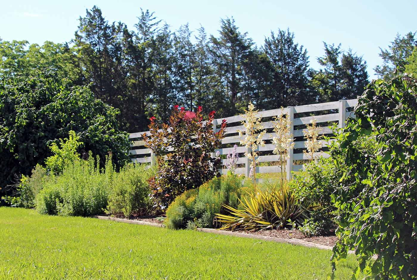 garden-summer-h10_Jul24_1400x940