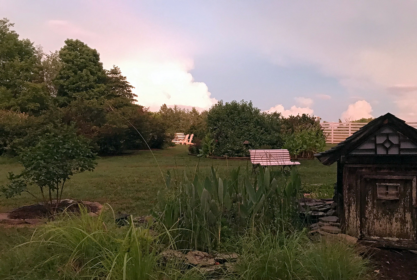 garden-summer-h14_Jul24_1400x940