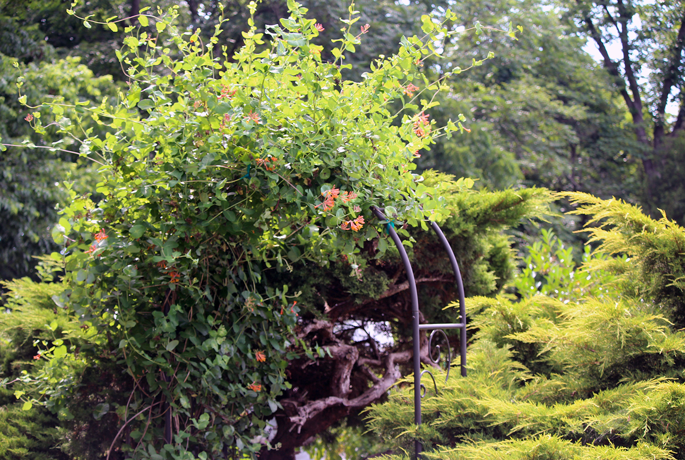 garden-summer-h1_Jul24_1400x940