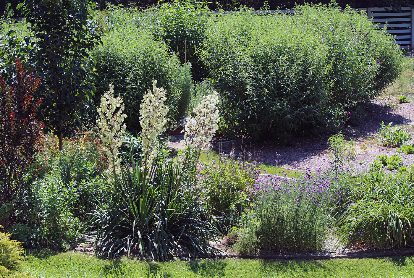 garden-summer-h5_Jul24_1400x940