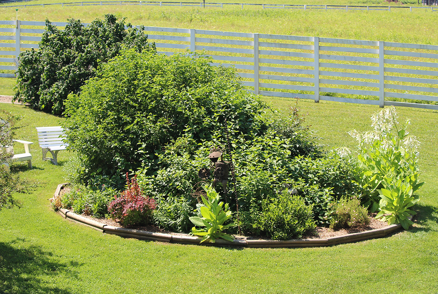 garden-summer-h7_Jul24_1400x940