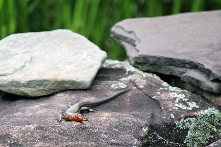 garden-gallery_4Jun24_900-3