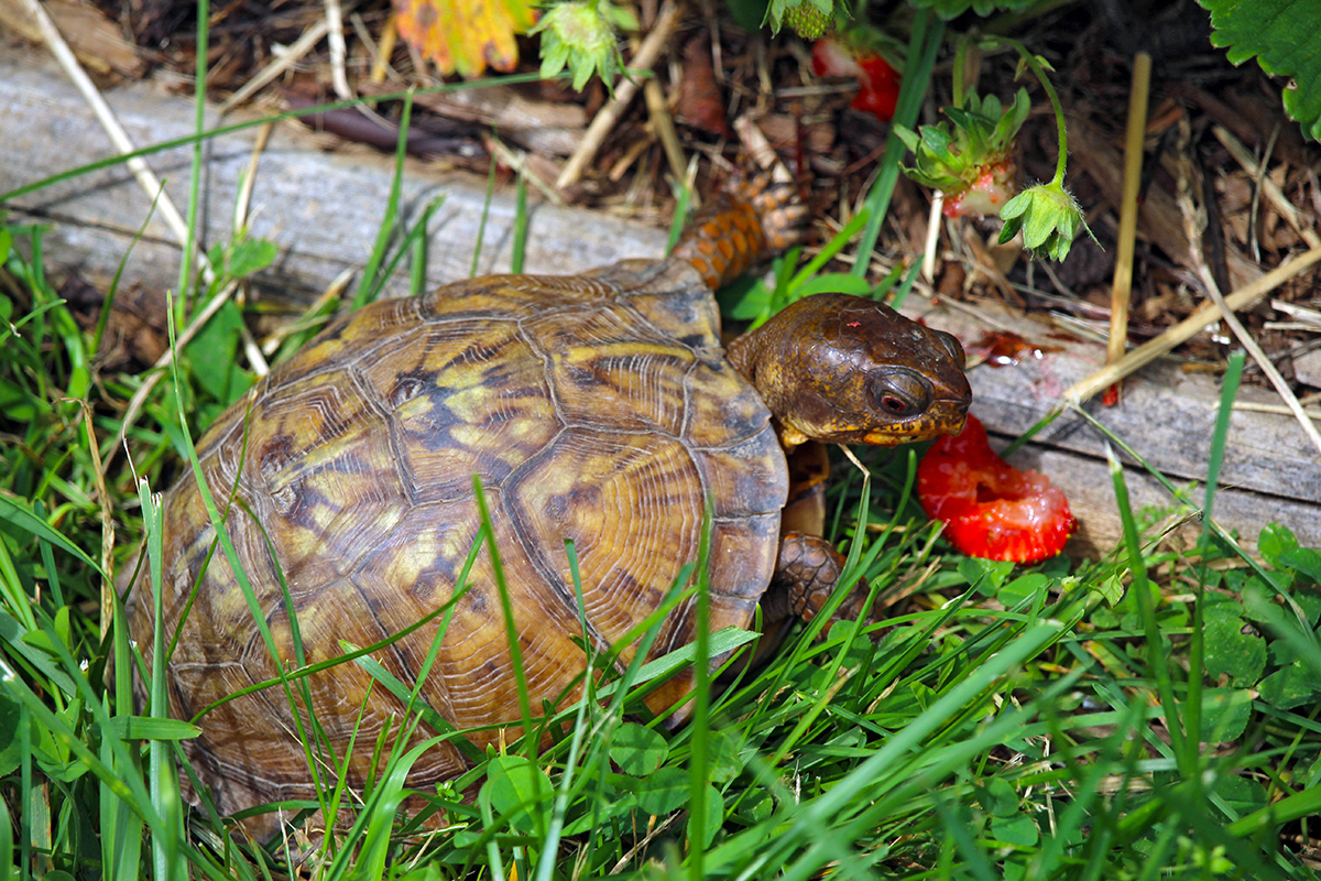 garden-gallery_May24-21