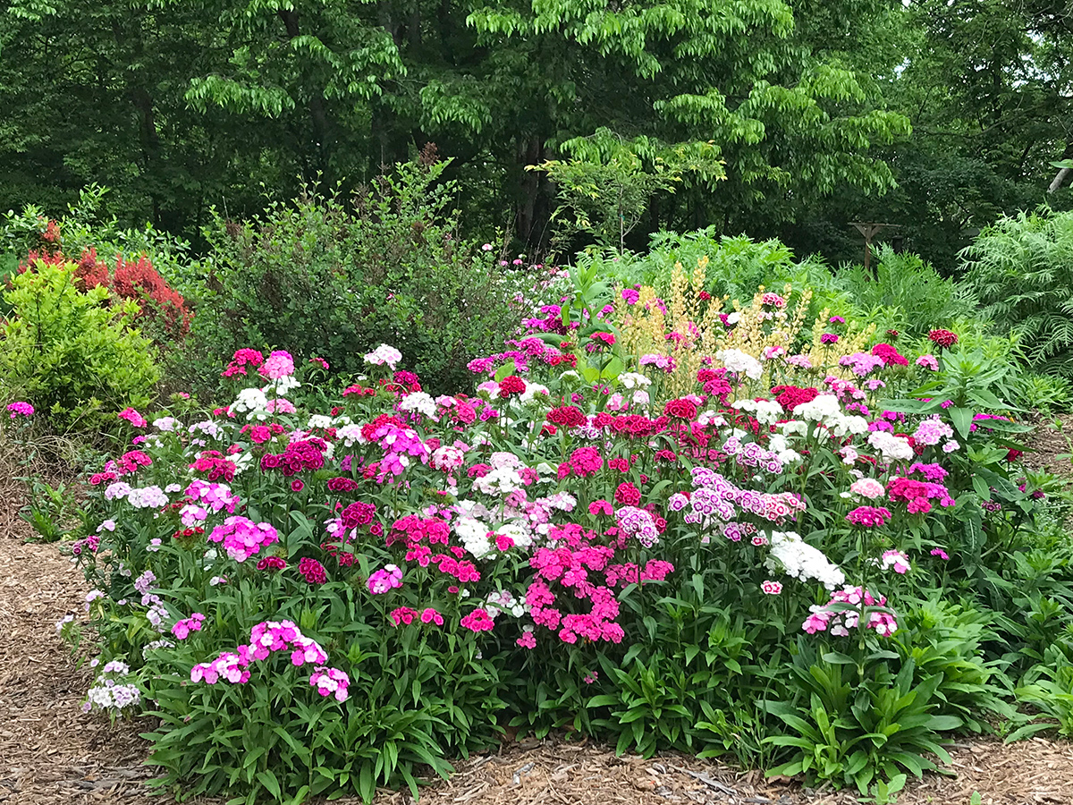 garden-gallery_May24-7