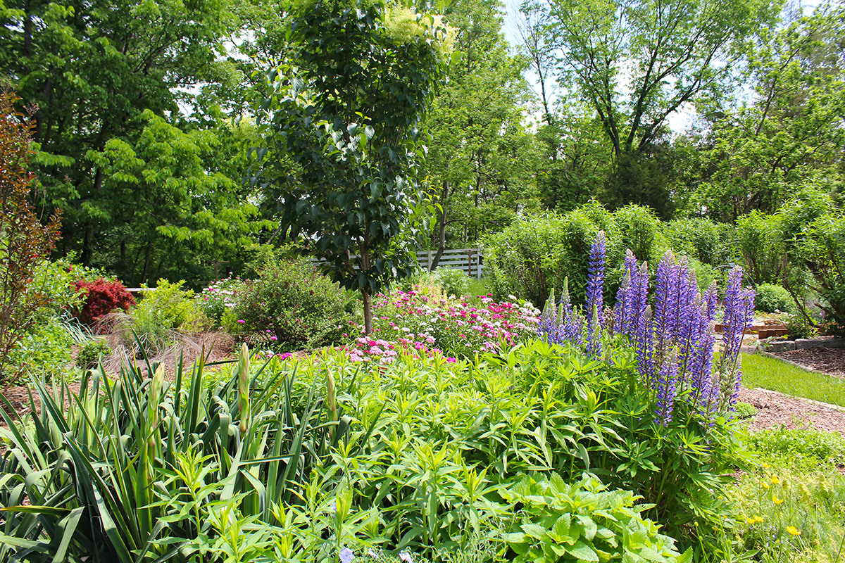 garden-gallery_May24-9