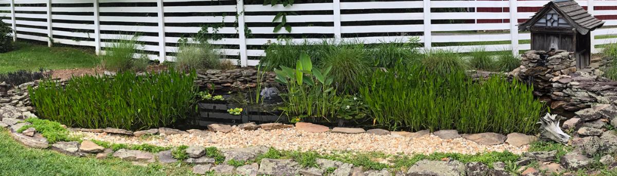 pond-panorama-3_1400x400