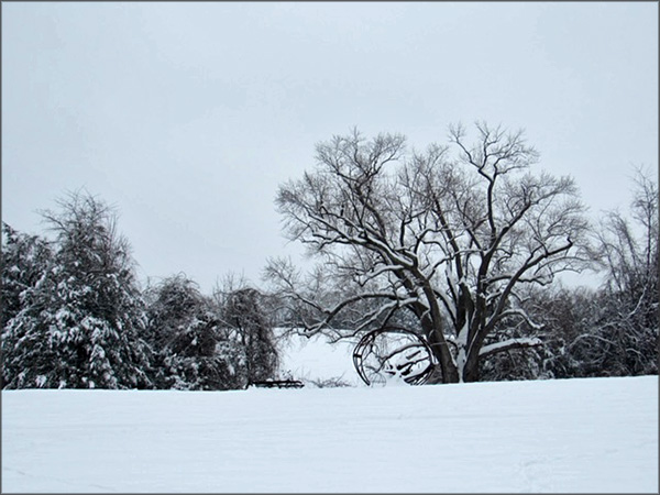 gallery-snow-10_Feb25_600x450