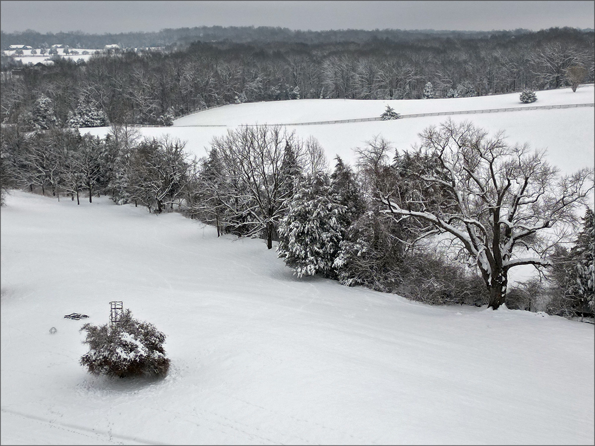 gallery-snow-14_Feb25_1200x900