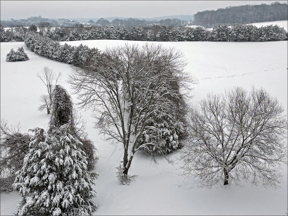 gallery-snow-15_Feb25_1200x900