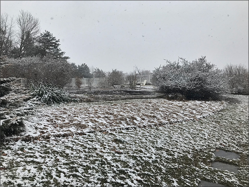 gallery-snow-1_Feb25_800x600