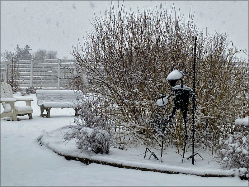 gallery-snow-6_Feb25_800x600