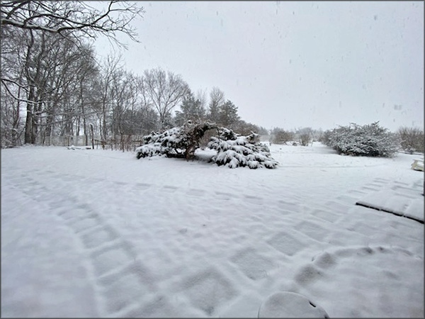 gallery-snow-9_Feb25_600x450