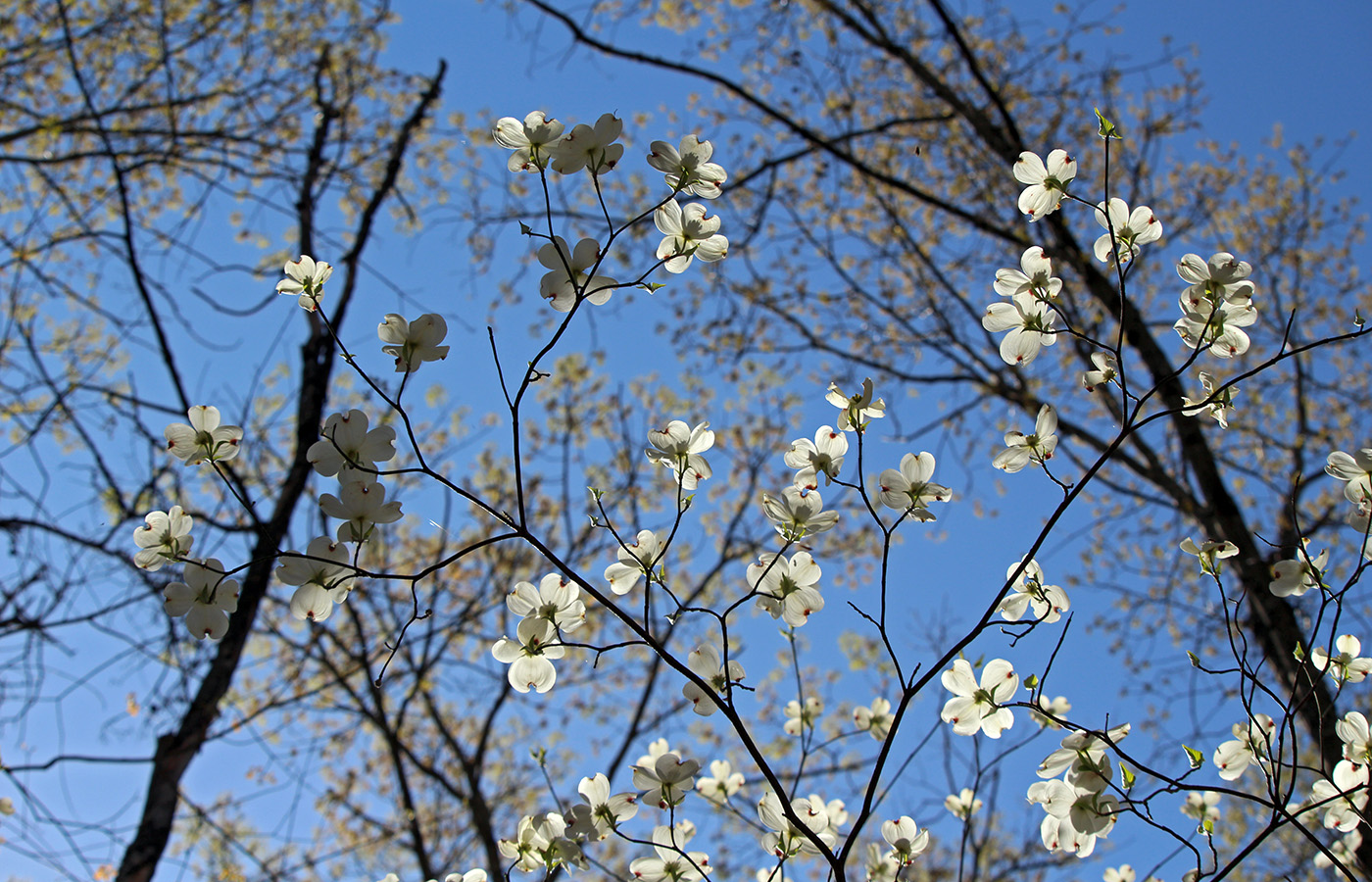 garden-gallery_Apr25_14x9-a