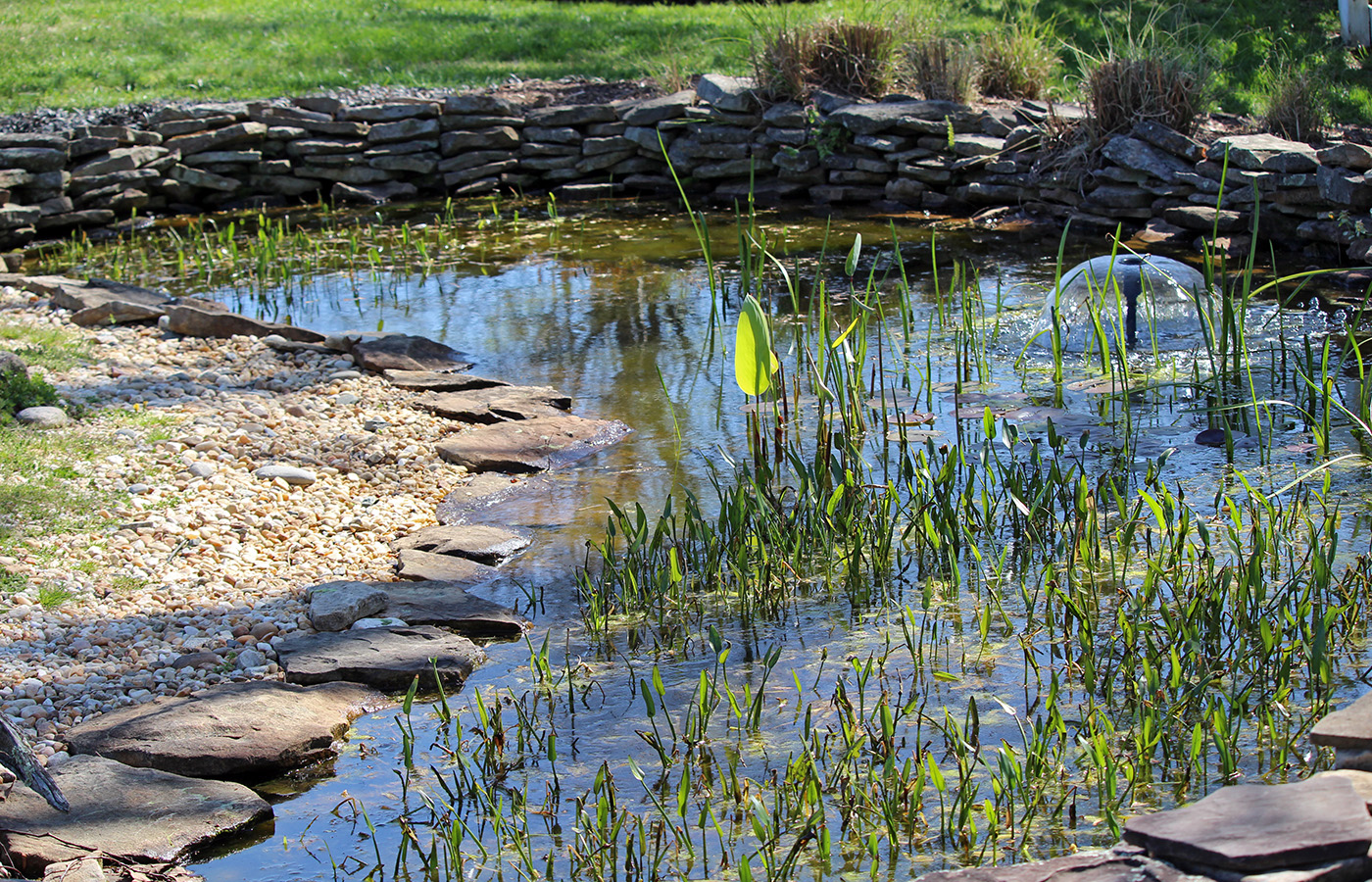 garden-gallery_Apr25_14x9-f